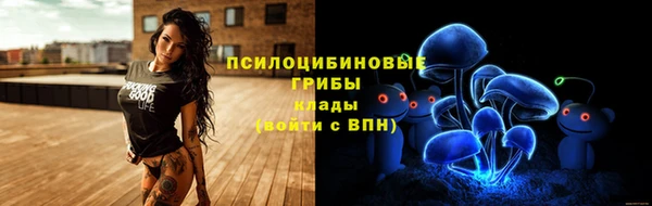 винт Алексеевка