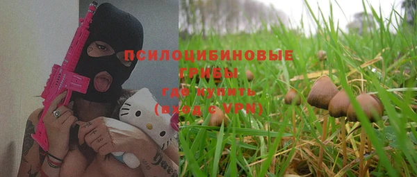 винт Алексеевка