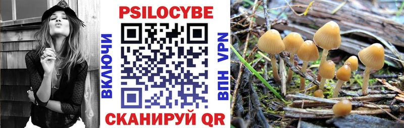Купить закладки  Алупка  Галлюциногенные грибы Psilocybine cubensis 