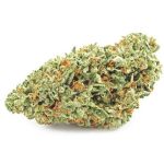 Шишки OG Kush  (Гидропоника, бошки) VHQ в Алупке